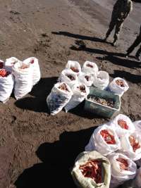 ПОГРАНИЧНОЕ УПРАВЛЕНИЕ  ФЕДЕРАЛЬНОЙ СЛУЖБЫ БЕЗОПАСНОСТИ РОССИИ  ПО ХАБАРОВСКОМУ КРАЮ И ЕВРЕЙСКОЙ АВТОНОМНОЙ ОБЛАСТИ